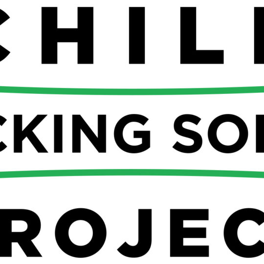 Child Trafficking Solutions Project